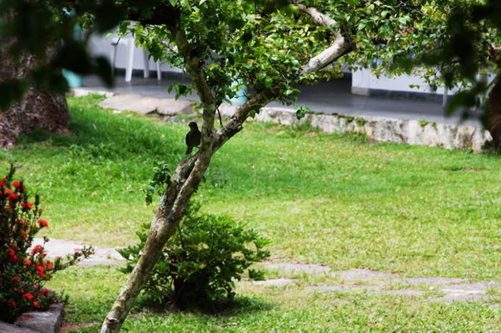 Pousada Sitio Paraiso Itacare Luaran gambar